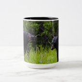 Bearly Awake Tweekleurige Koffiemok (Center)