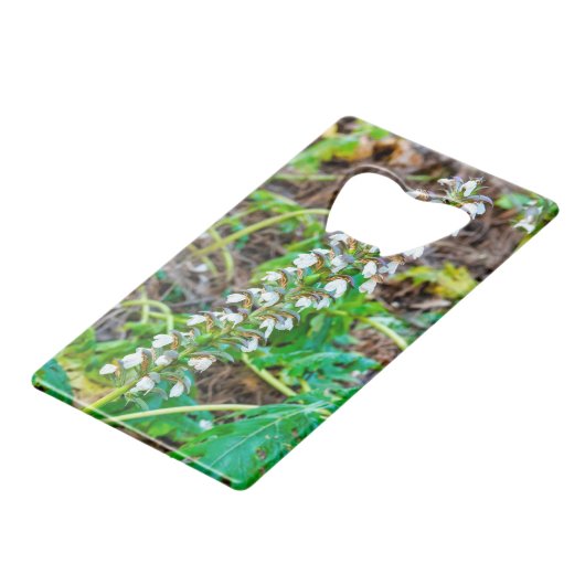 Bear's Breeches Creditkaart Flessenopener (Voorkant Gekanteld)