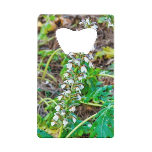 Bear's Breeches Creditkaart Flessenopener (Achterkant)