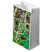 Bear's Breeches Klein Cadeauzakje (Achterkant Gekanteld)