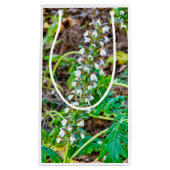 Bear's Breeches Klein Cadeauzakje (Voorkant)