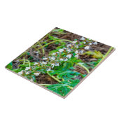 Bear's Breeches Tegeltje (Zijkant)