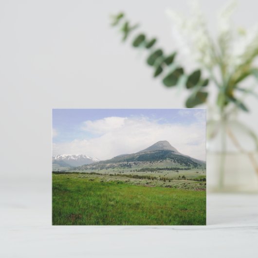Beartooth Butte Briefkaart (Staand voorkant)