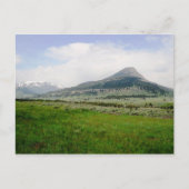 Beartooth Butte Briefkaart (Voorkant)