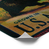 Bearwallow Apple Crate LabelHood River Poster (Hoek)