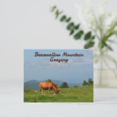 Bearwallow Mountain Koeien Blue Ridge Mountains NC Briefkaart (Staand voorkant)