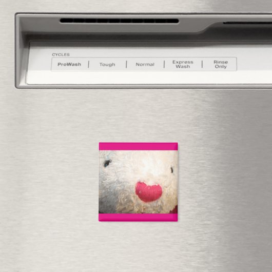 Beary Magnet (Insitu (Vaatwasser))