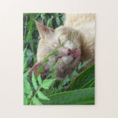 Beast, het liefste zwerfkat - puzzel legpuzzel (Verticaal)