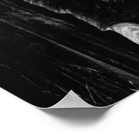 BEAST Lion Print, Value Poster Paper (Semi-Gloss) (Hoek)