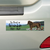 Beast van de Bumpersticker van Gévaudan (Op auto)