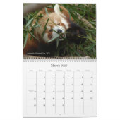 Beasten in een Populous City - kalender (Mar 2027)