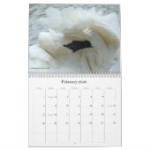 Beasten in een Populous City - kalender (Feb 2026)