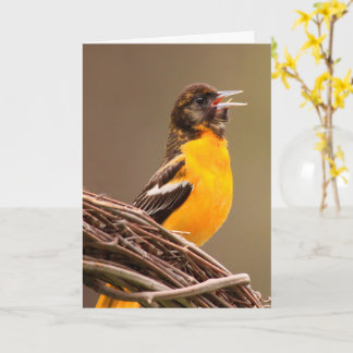 Beat Cancer Oriole Kaart
