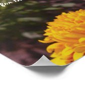 Beatitudes Poster (Hoek)