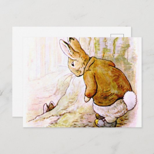 Beatrix Potter - Bunny Illustration Briefkaart (Voorkant / Achterkant)