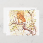 Beatrix Potter Eekhoorn Illustratie Briefkaart (Voorkant / Achterkant)