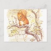 Beatrix Potter Eekhoorn Illustratie Briefkaart (Voorkant)