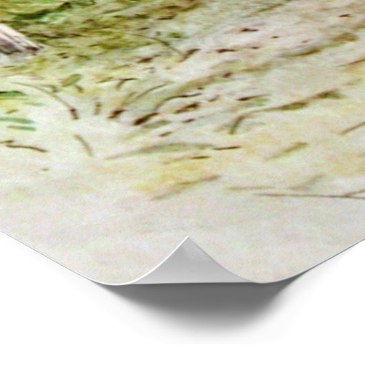 Beatrix Potter Het verhaal van Benjamin Bunny Poster (Hoek)