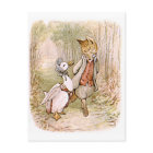 Beatrix Potter, Jemima Puddle Duck, meneer Tod
