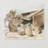 Beatrix Potter, Kinderboeken Briefkaart (Voorkant)