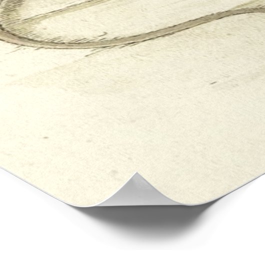 Beatrix Potter Mouse Reading Newspaper Poster (Hoek)