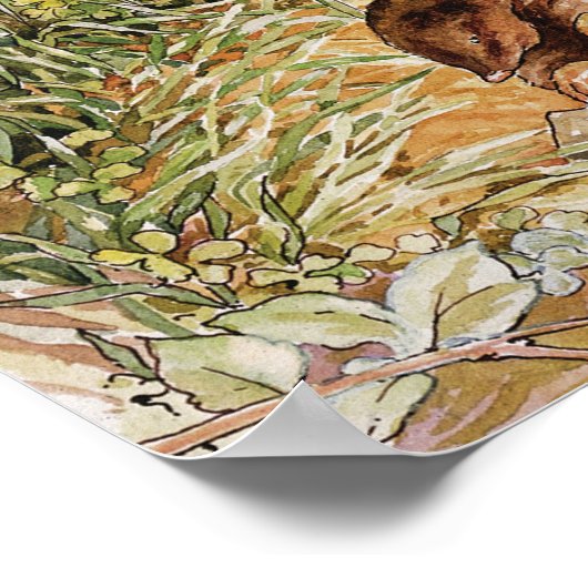 Beatrix Potter Peter en Vrienden Boswandeling Poster (Hoek)