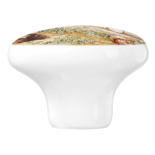 Beatrix Potter Peter het Konijn en Vrienden Keramische Knop (Zijkant)