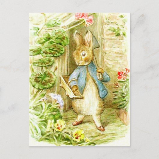 Beatrix Potter Peter het konijn in de tuin Briefkaart (Voorkant)