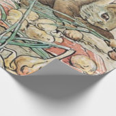 Beatrix Potter Peter Rabbit en Benjamin Bunny Cadeaupapier (Hoek)