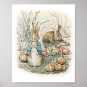 Beatrix Potter Peter Rabbit en Benjamin Bunny Poster (Voorkant)