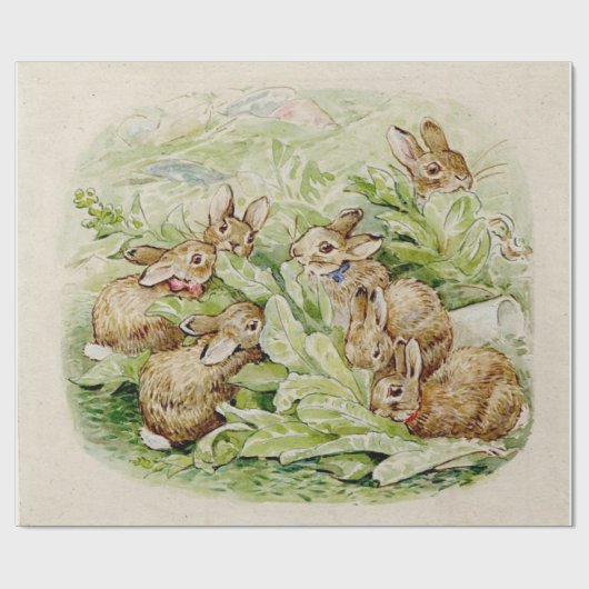 Beatrix Potter Schattig Konijntje Cadeaupapier (Vlak)