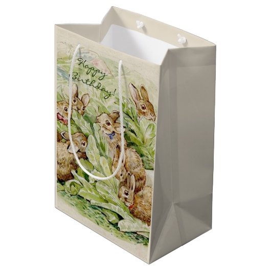 Beatrix Potter Tale of the Flopsy Bunnies Medium Cadeauzakje (Achterkant Gekanteld)