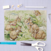 Beatrix Potter Tale of the Flopsy Bunnies Tissuepapier (Craft)