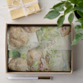 Beatrix Potter Tale of the Flopsy Bunnies Tissuepapier (Geschenk)