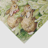 Beatrix Potter Tale of the Flopsy Bunnies Tissuepapier (Detail)