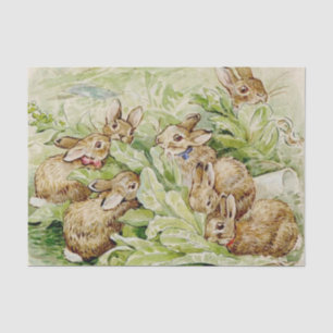 Beatrix Potter Tale of the Flopsy Bunnies Tissuepapier