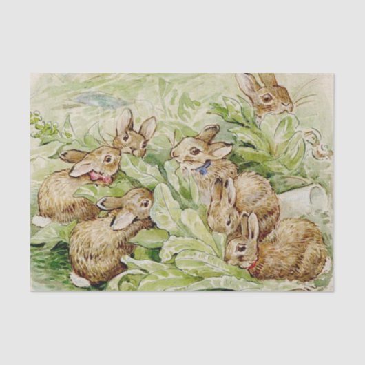 Beatrix Potter Tale of the Flopsy Bunnies Tissuepapier (Voorkant)
