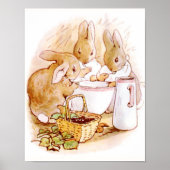 Beatrix Potter uit The Tale of Peter Rabbit Poster (Voorkant)