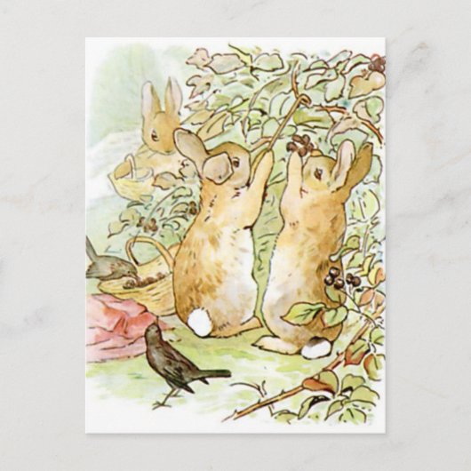 Beatrix Potter uit The Tale of Peter the Rabbit Briefkaart (Voorkant)