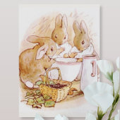 Beatrix Potter uit The Tale of Peter the Rabbit Briefkaart