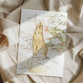 Beatrix Potter uit The Tale of Peter the Rabbit Briefkaart