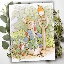 Beatrix Potter uit The Tale of Peter the Rabbit Briefkaart