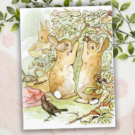 Beatrix Potter uit The Tale of Peter the Rabbit Briefkaart