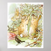 Beatrix Potter uit The Tale of Peter the Rabbit Poster (Voorkant)