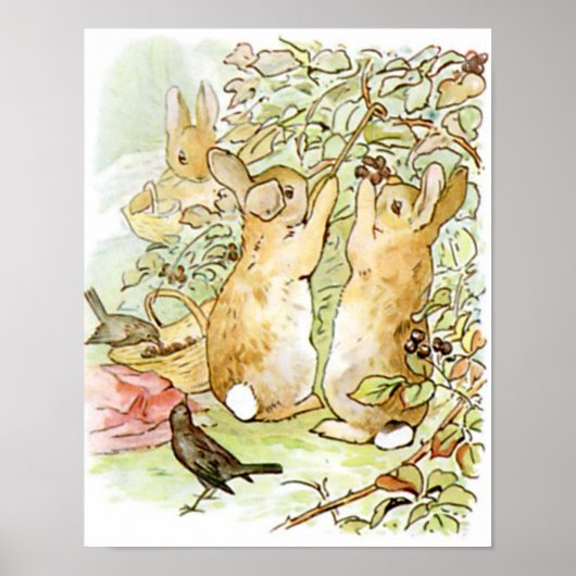 Beatrix Potter uit The Tale of Peter the Rabbit Poster (Voorkant)