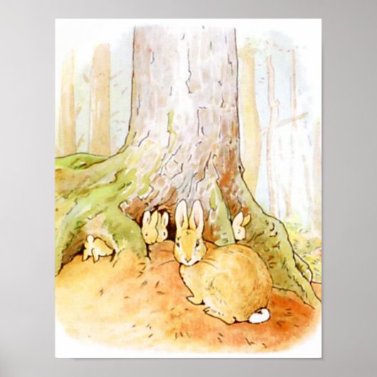 Beatrix Potter uit The Tale of Peter the Rabbit Poster (Voorkant)