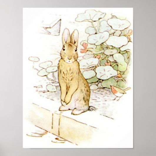 Beatrix Potter uit The Tale of Peter the Rabbit Poster (Voorkant)