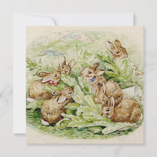 Beatrix Potter Verhaal van de Flopsy Konijnen Notitiekaartje (Voorkant)
