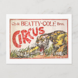 Beatty Cole Circus - 1903 - in nood Briefkaart