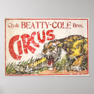 Beatty Cole Circus - 1903 - in nood Poster